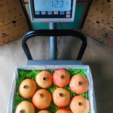 White Pomegranates Box (Granada Mollar de Elche) Tropical Fruit Box Specialty Box